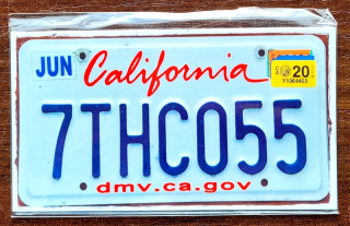 Magnes - CALIFORNIA