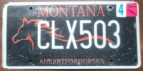 Montana 2005