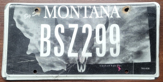 Montana