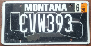Montana 2020