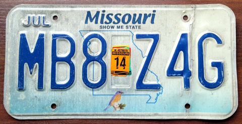 ROAD KILL - Missouri 2014