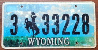 ROAD KILL - Wyoming
