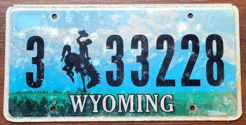 ROAD KILL - Wyoming ROAD KILL - Wyoming