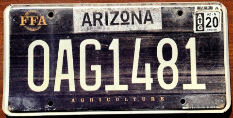 Arizona 2020