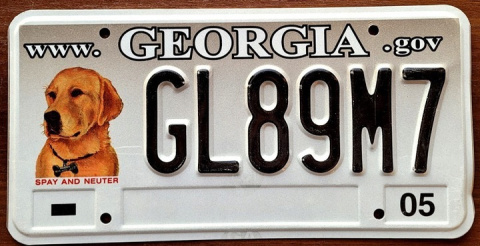 Georgia 2005 Georgia 2005