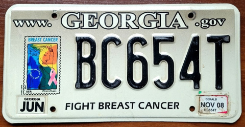 Georgia 2008