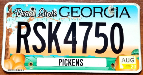 Georgia 2020 Georgia 2020