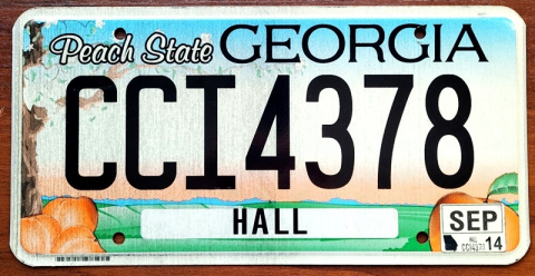 Georgia 2014 Georgia 2014