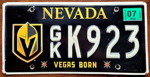 Nevada 2020 Nevada 2020