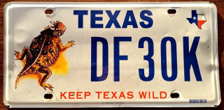 Texas - rzadki wzór