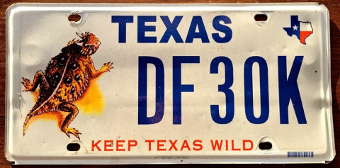 Texas - rzadki wzór