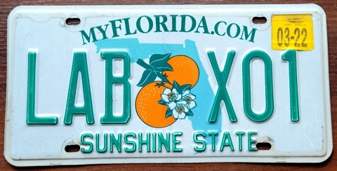 Florida 2022 - tablica z USA