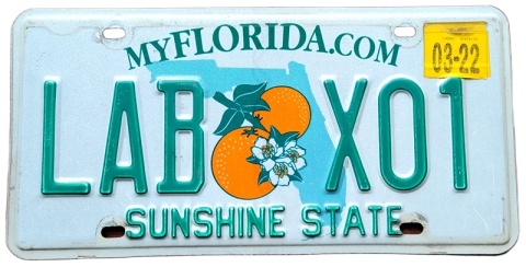 Florida 2022 - tablica z USA
