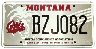 Montana - tablica z USA