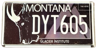 Montana - tablica z USA