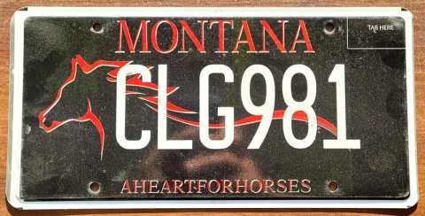 Montana - tablica z USA