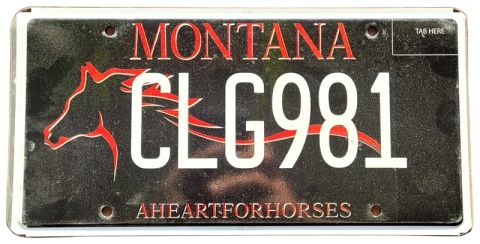 Montana - tablica z USA