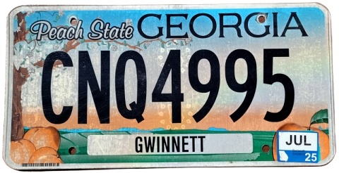 Georgia 2025 - tablica z USA