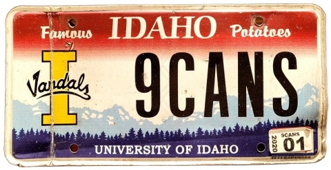 Idaho 2020