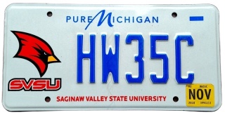 Michigan 2018 - unikatowa