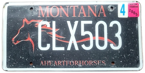 Montana 2005