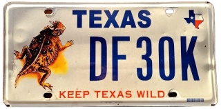 Texas - rzadki wzór