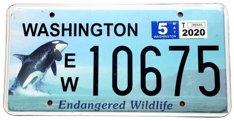 Washington 2020