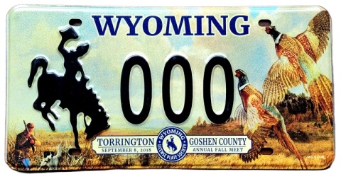 Wyoming - SAMPLE - tablica z USA