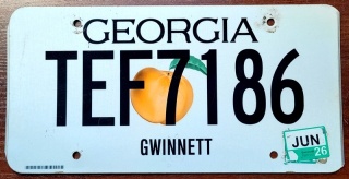 Georgia 2026 - tablica z USA