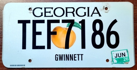Georgia 2026 - tablica z USA