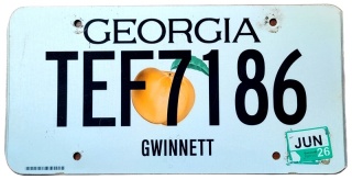 Georgia 2026 - tablica z USA