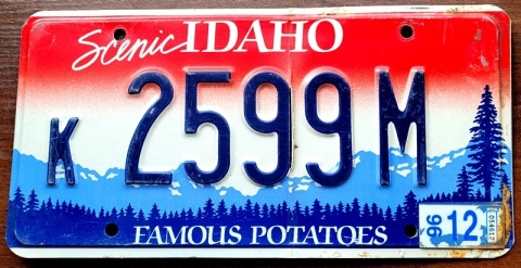 Idaho 1996 - tablica z USA