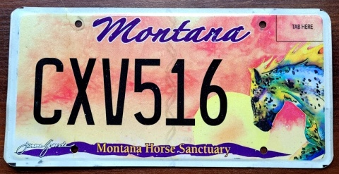 Montana - tablica z USA