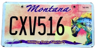 Montana - tablica z USA