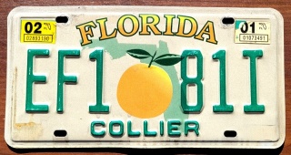Florida 2001 - tablica z USA