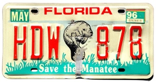 Florida 1996 - tablica z USA