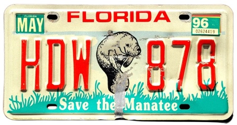 Florida 1996 - tablica z USA