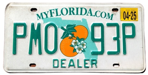 Florida 2025 - DEALER - tablica z USA