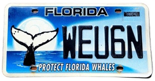 Florida - tablica z USA
