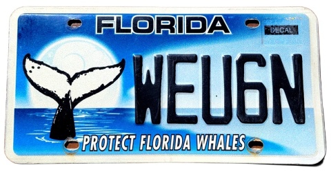 Florida - tablica z USA