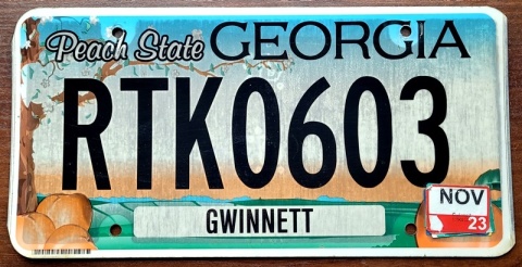 Georgia 2023 - tablica z USA