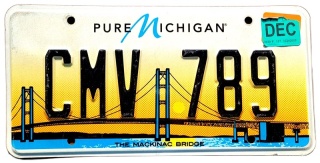 Michigan 2020 - tablica z USA