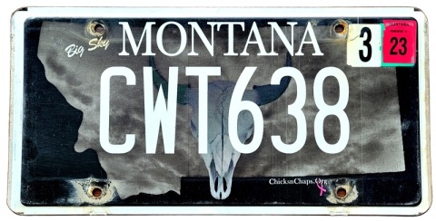 Montana 2023 - tablica z USA
