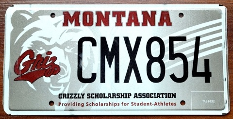 Montana - tablica z USA