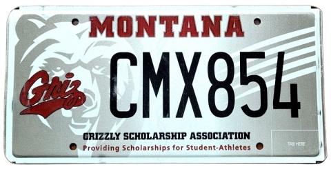 Montana - tablica z USA