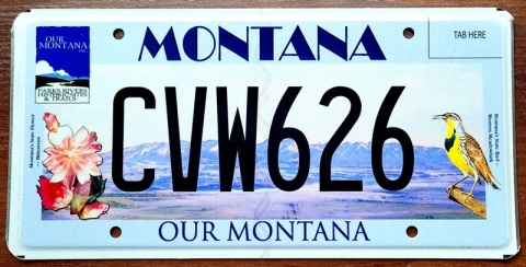 Montana - tablica z USA