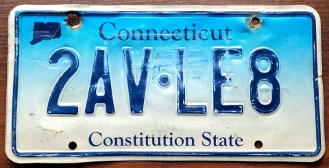ROAD KILL - Connecticut