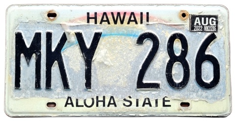 ROAD KILL - Hawaii 2022