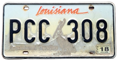 ROAD KILL - Louisiana 2018