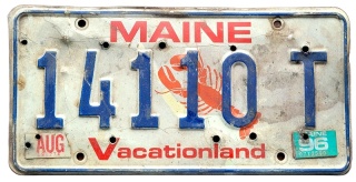 ROAD KILL - Maine 1996